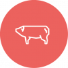 PIG PIG