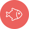 POISSON POISSON